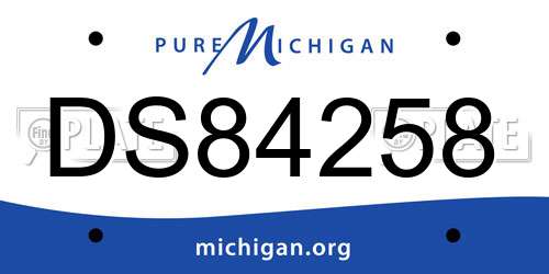 DS84258 Michigan License Plate