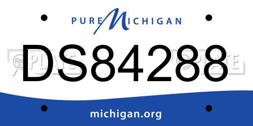 DS84288 Michigan License Plate