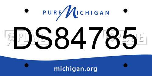 DS84785 Michigan License Plate