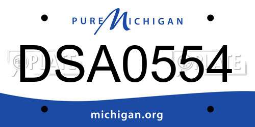 DSA0554 Michigan License Plate