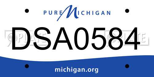 DSA0584 Michigan License Plate