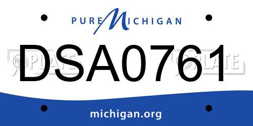 DSA0761 Michigan License Plate