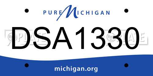 DSA1330 Michigan License Plate