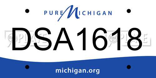 DSA1618 Michigan License Plate