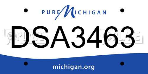 DSA3463 Michigan License Plate