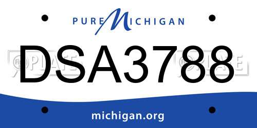 DSA3788 Michigan License Plate