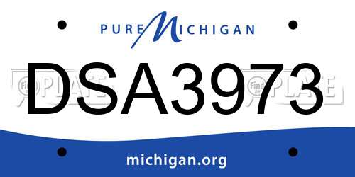 DSA3973 Michigan License Plate