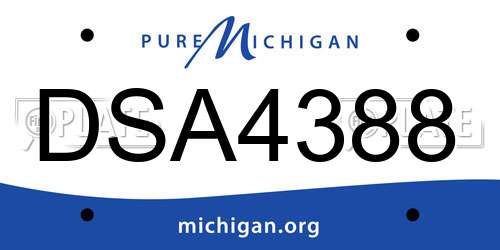 DSA4388 Michigan License Plate