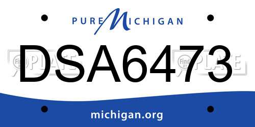 DSA6473 Michigan License Plate