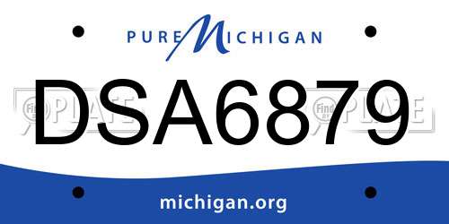 DSA6879 Michigan License Plate