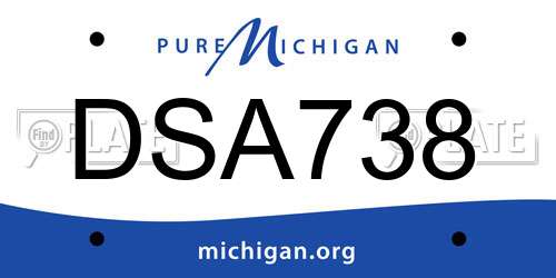 DSA738 Michigan License Plate