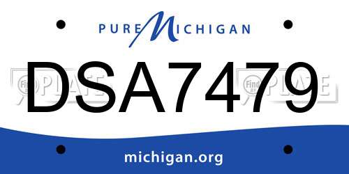 DSA7479 Michigan License Plate