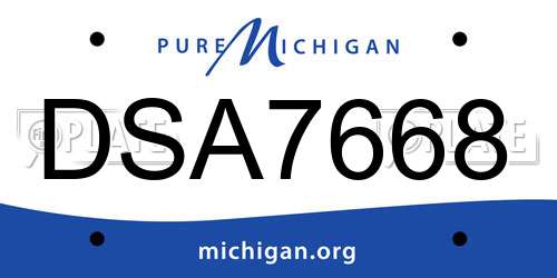 DSA7668 Michigan License Plate