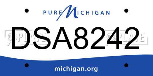DSA8242 Michigan License Plate