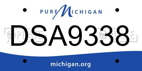 DSA9338 Michigan License Plate