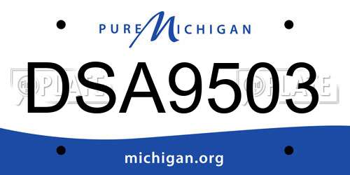 DSA9503 Michigan License Plate