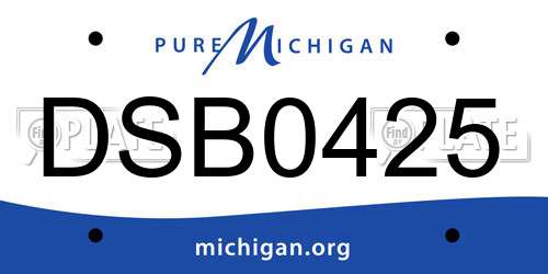 DSB0425 Michigan License Plate