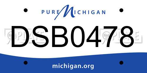 DSB0478 Michigan License Plate