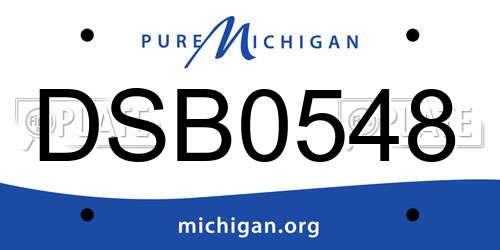 DSB0548 Michigan License Plate