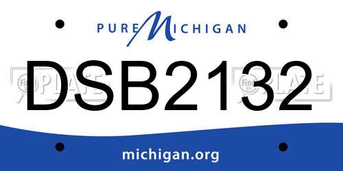 DSB2132 Michigan License Plate