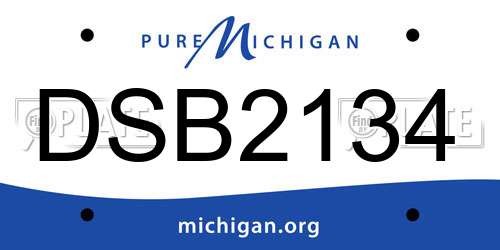 DSB2134 Michigan License Plate