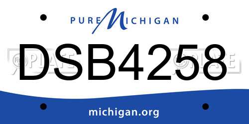 DSB4258 Michigan License Plate
