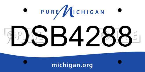 DSB4288 Michigan License Plate
