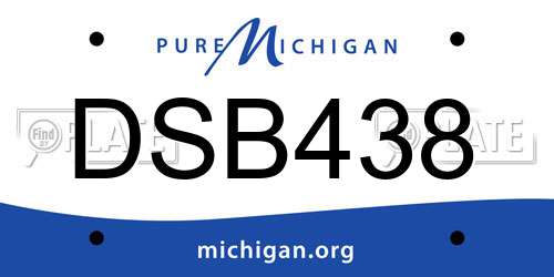 DSB438 Michigan License Plate