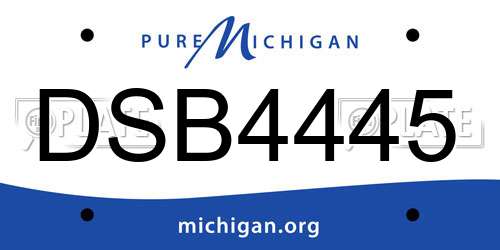 DSB4445 Michigan License Plate