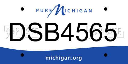 DSB4565 Michigan License Plate