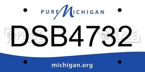 DSB4732 Michigan License Plate