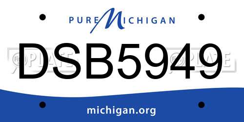 DSB5949 Michigan License Plate