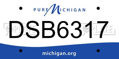 DSB6317 Michigan License Plate