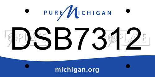 DSB7312 Michigan License Plate