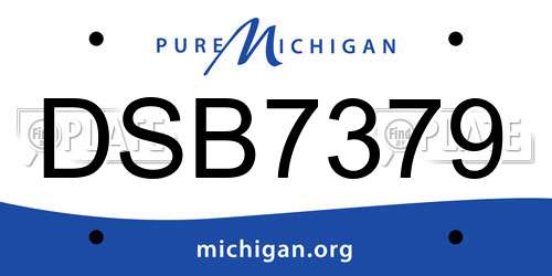DSB7379 Michigan License Plate