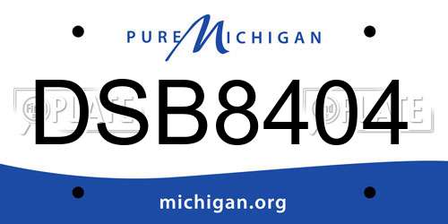DSB8404 Michigan License Plate