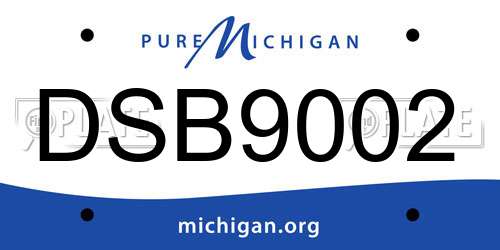 DSB9002 Michigan License Plate