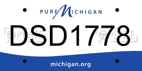 DSD1778 Michigan License Plate