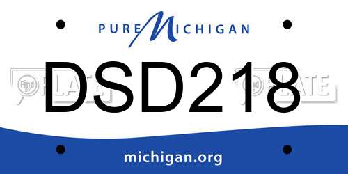 DSD218 Michigan License Plate