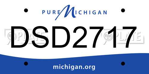 DSD2717 Michigan License Plate