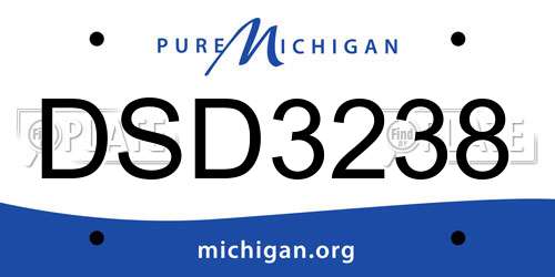 DSD3238 Michigan License Plate