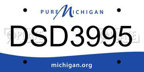 DSD3995 Michigan License Plate