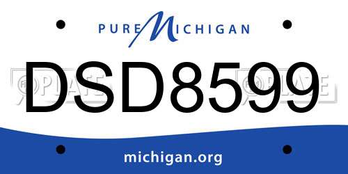 DSD8599 Michigan License Plate