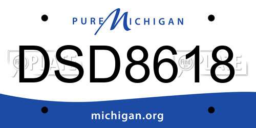 DSD8618 Michigan License Plate