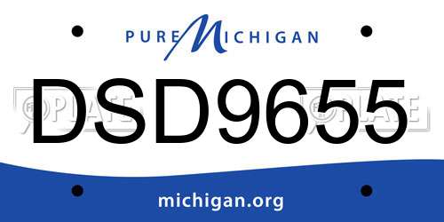 DSD9655 Michigan License Plate