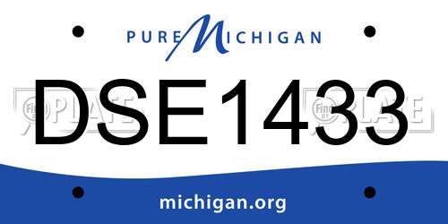 DSE1433 Michigan License Plate