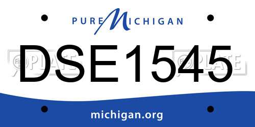 DSE1545 Michigan License Plate