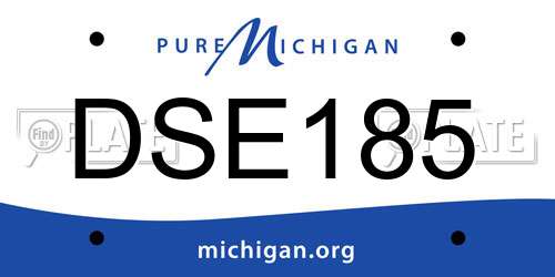 DSE185 Michigan License Plate