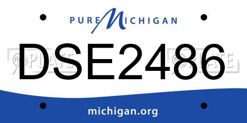 DSE2486 Michigan License Plate