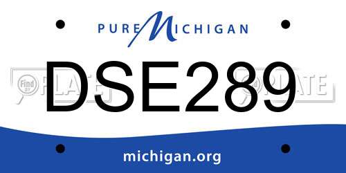 DSE289 Michigan License Plate